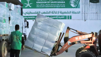 ربط التسجيل وتحديث البيانات في الحملة السعودية ـ الكارتونة السعودية