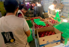 رابط التسجيل في برنامج سوء التغذية من مؤسسة جذور في غزة