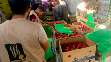 رابط التسجيل في برنامج سوء التغذية من مؤسسة جذور في غزة