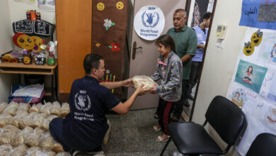 رابط تسجيل وتحديث بيانات مساعدات برنامج الأغذية العالمي في غزة 2026