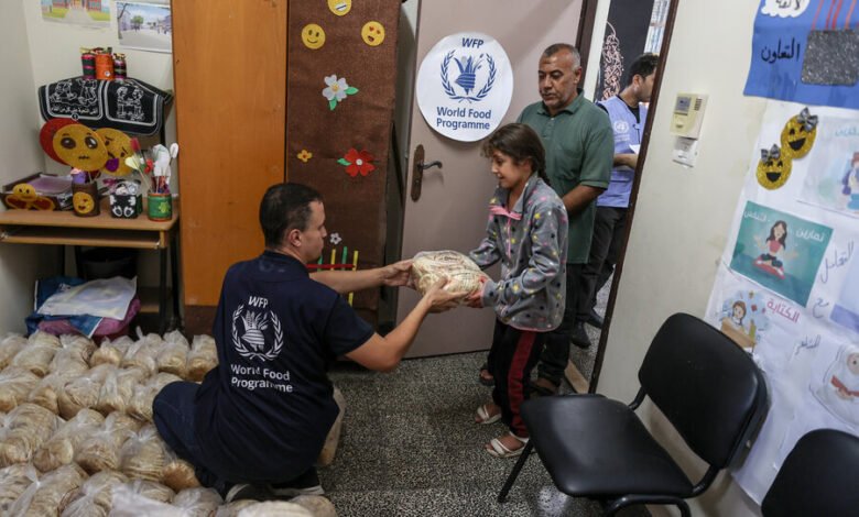 رابط تسجيل وتحديث بيانات مساعدات برنامج الأغذية العالمي في غزة 2026